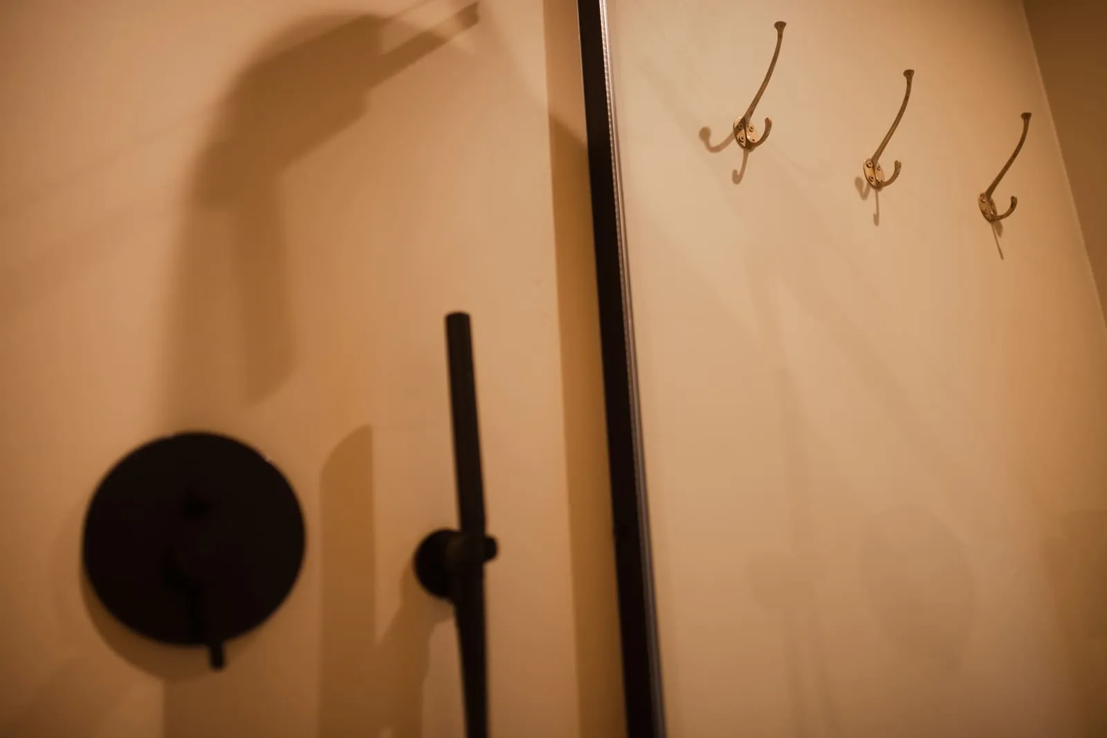 Brass hooks and black fittings in the studio bathroom