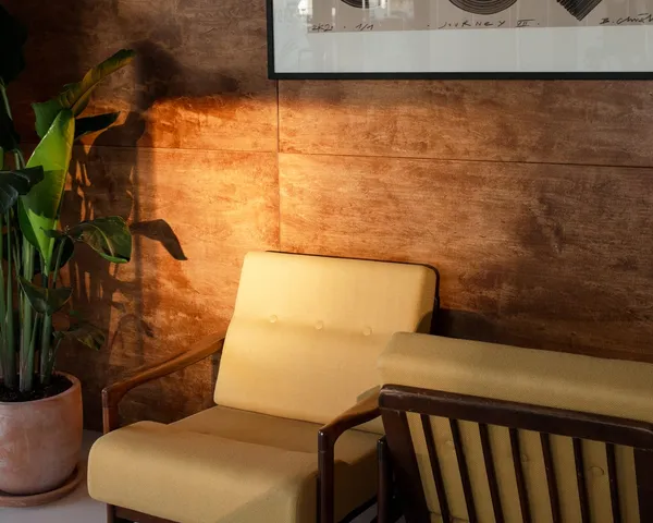 A mustard armchair in a shaft of afternoon sun on the wooden wall, a potted plant beside it
